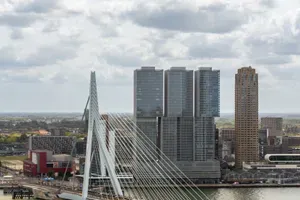 Erasmusbrug Rotterdam