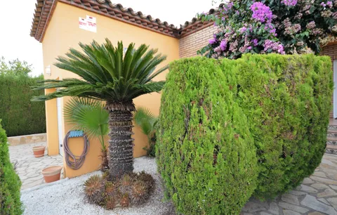 Foto 4 van Carrer de Teresa Wilms Montt 13