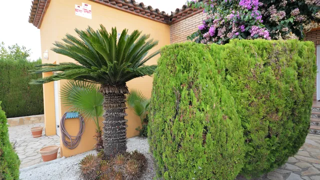 Foto 4 van Carrer de Teresa Wilms Montt 13