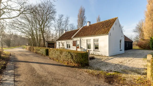 listing-fb51b584-ab26-4b97-a626-3a68ad142ab5-261396130.jpg