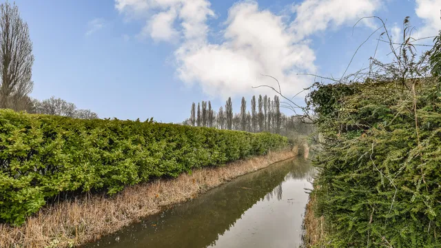 listing-ec1815f4-e55e-46c5-9f7c-77030dce829b-267672142.jpg