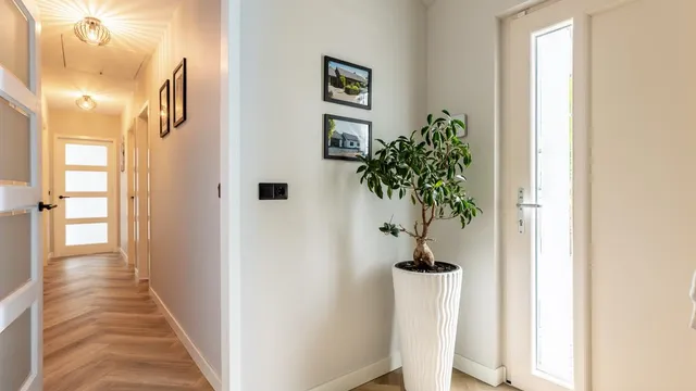 listing-05db52de-7827-47ea-a93c-46739f0ab648-235428356.jpg