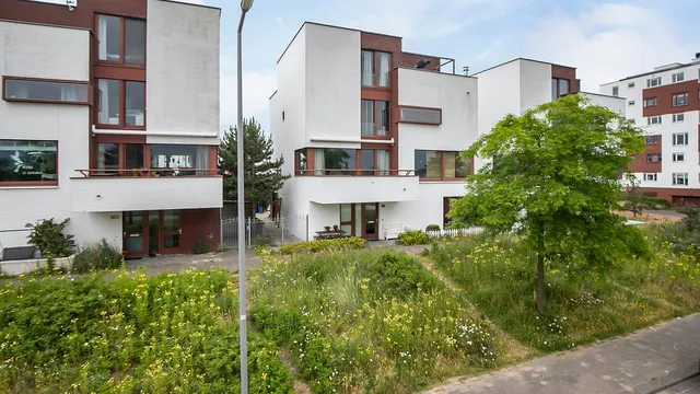 listing-70b5ae05-40a8-4ac9-8d18-370c995c5ff9-238075028.jpg