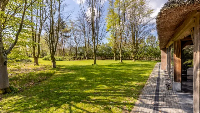 listing-371c6e97-875b-4f9b-b083-4f2f2ac814c1-274209552.jpg