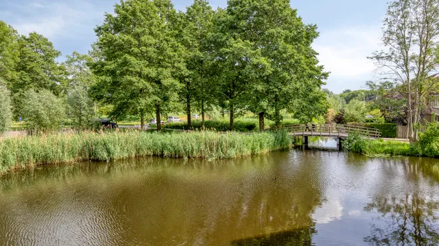 listing-6296ebd8-7d01-44eb-9c65-323465ed4a9b-279361748.jpg