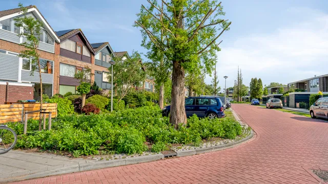 listing-2234fbbf-27da-4da6-8581-6ca4b7ce38d3-279341440.jpg